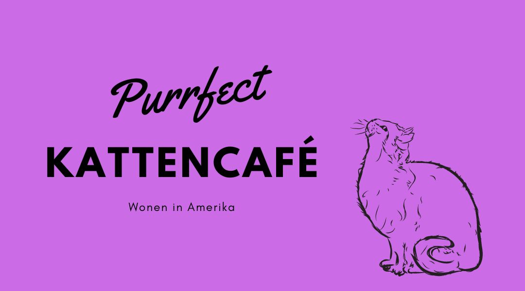 Blog 17: Purrfect kattencafé